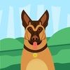 skysdeals92